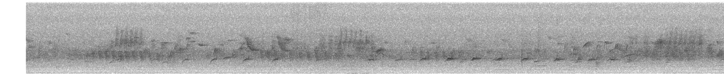 סייפן - ML457968741