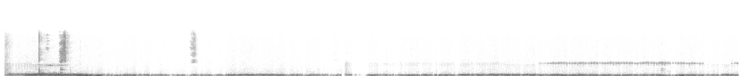 Zata arrunta - ML458031461