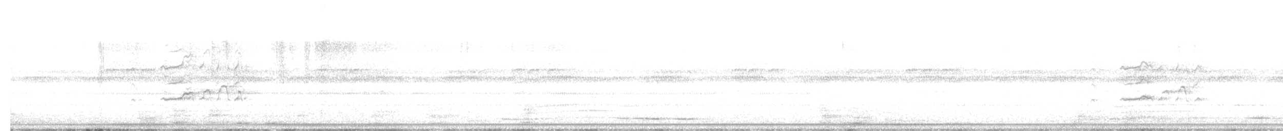 Kara Karınlı Islıkçı Ördek - ML458091981