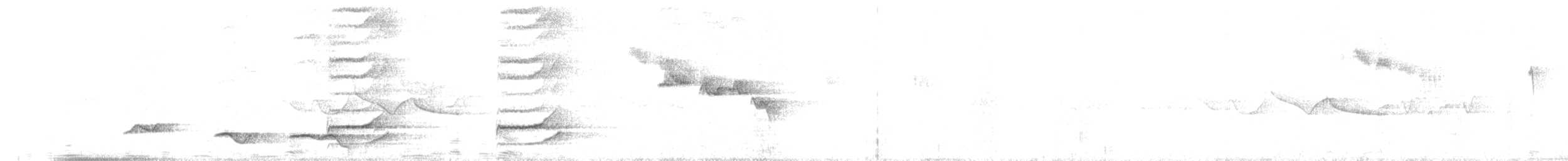 Charlatán Ocelado - ML458125991