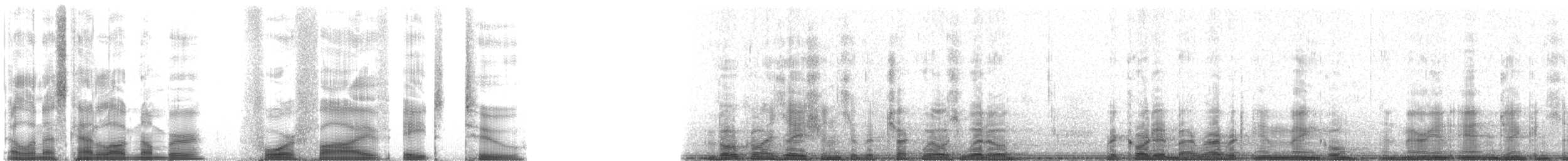 Chuck-will's-widow - ML4582