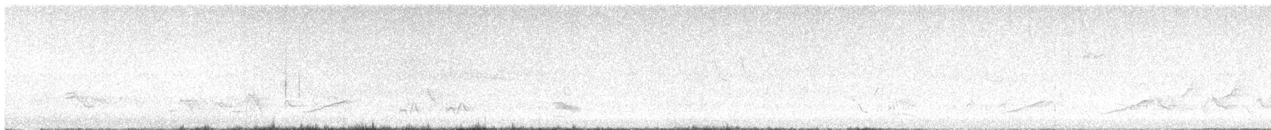 Carolina Wren - ML458256031