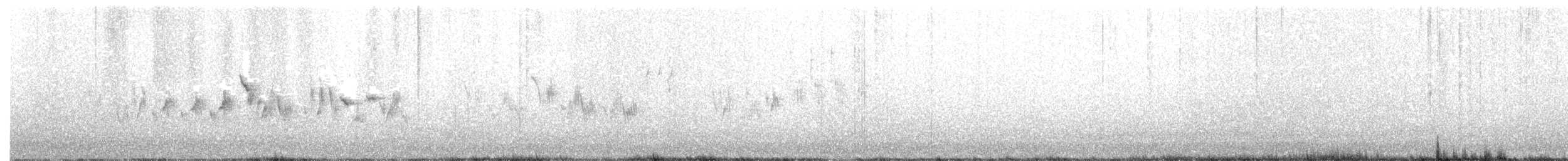 Black-throated Gray Warbler - ML458268931