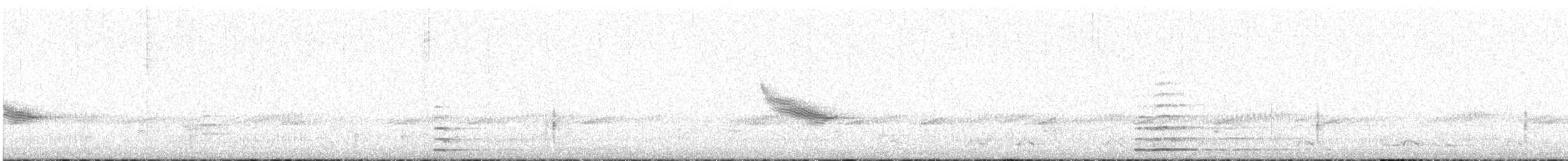 ハクチョウ属 - ML458311781