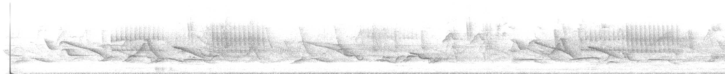 Great Thrush - ML458327411