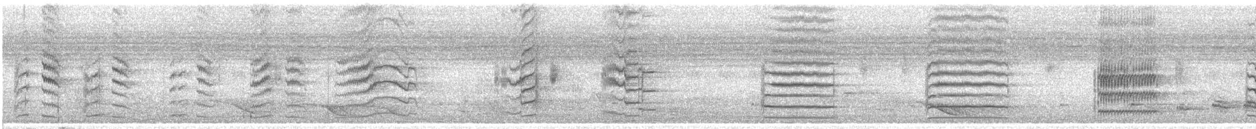 Luzon-Spatelschwanzpapagei - ML458382301