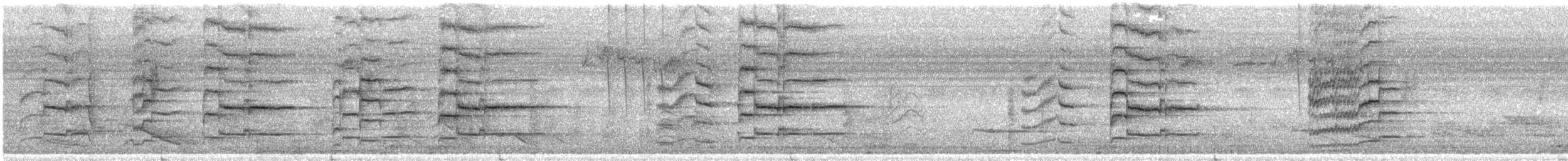 Luzon-Spatelschwanzpapagei - ML458382321