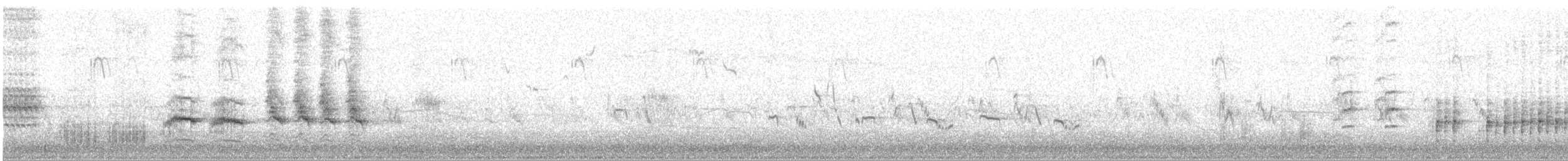 Great Reed Warbler - ML458397071