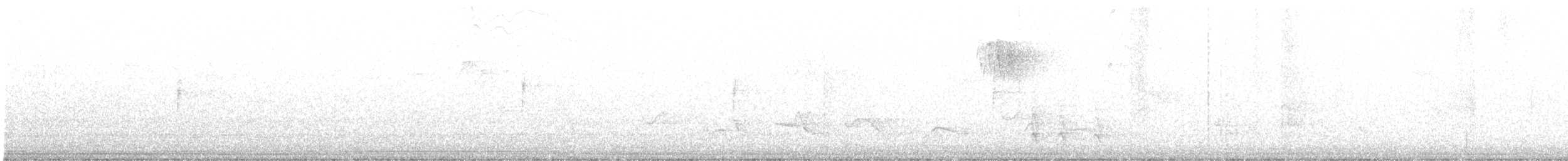 Louisiana Waterthrush - ML458399381