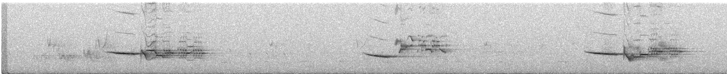 Дрізд-короткодзьоб плямистоволий - ML458441231