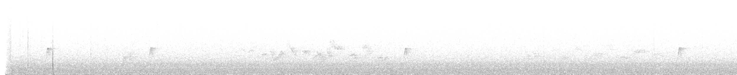 Hammond's Flycatcher - ML458496521