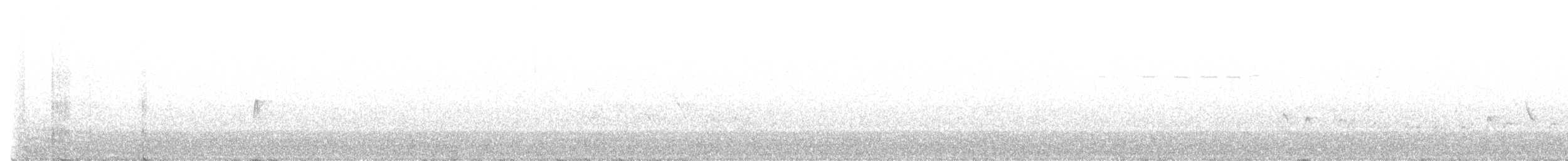 Hammond's Flycatcher - ML458496581