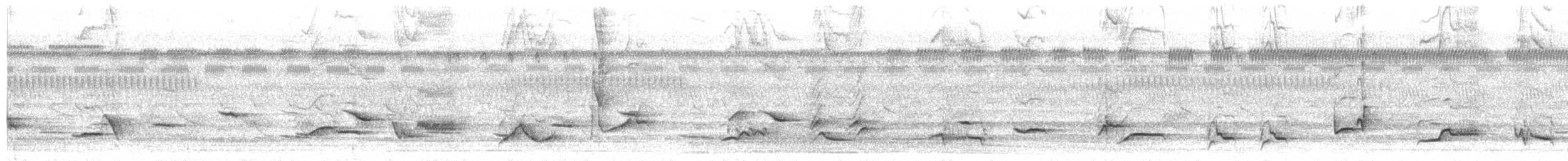 Rotmanteldrossel (rufopalliatus) - ML458516891