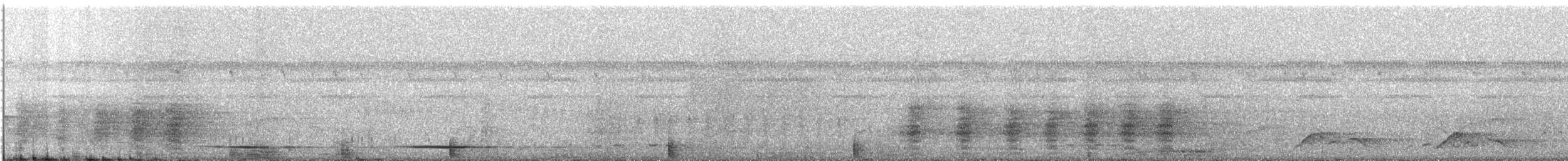 svartskrike (aterrimus) - ML458538911