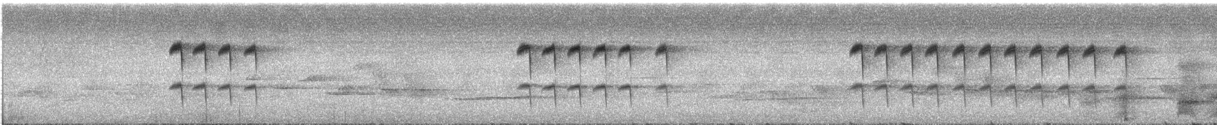 skjæresibia - ML458550561