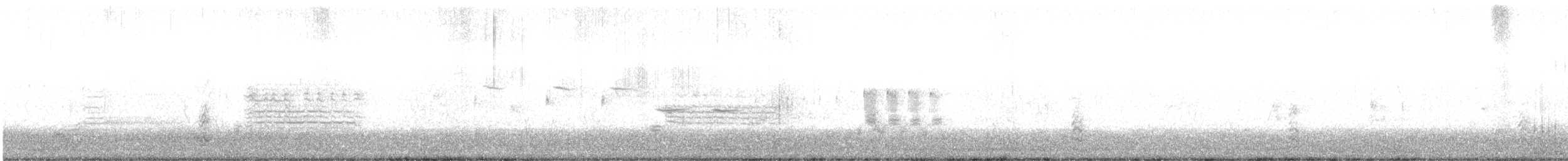 Black Skimmer - ML458557951