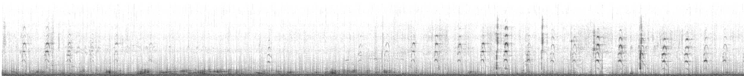 svartkronestylteløper (mexicanus) - ML458591411