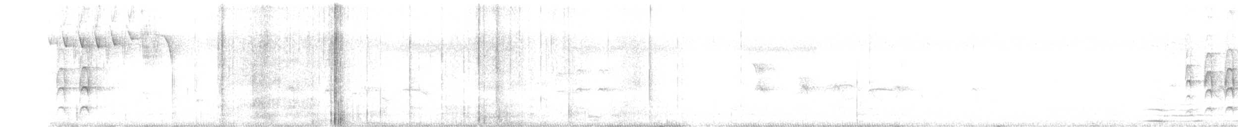 Weißbart-Dickichtschlüpfer - ML458593991