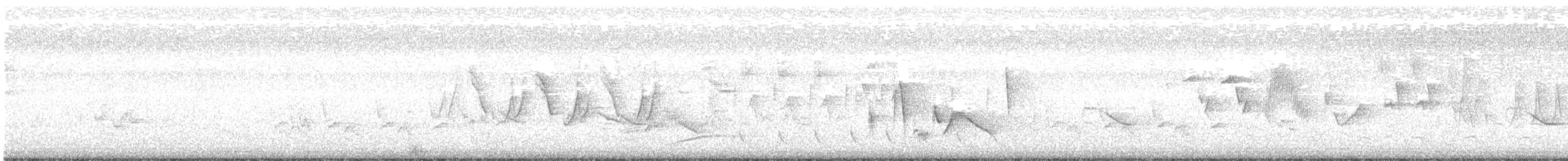 Common Yellowthroat - ML458595721