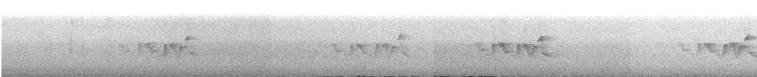 シロオビアメリカムシクイ - ML458629891