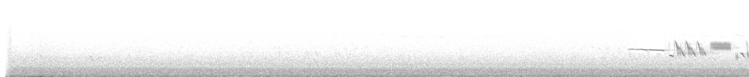hvitkronespurv (oriantha) - ML458630381