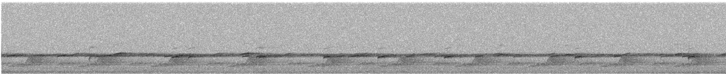 Schwarzkehl-Nachtschwalbe - ML458653551