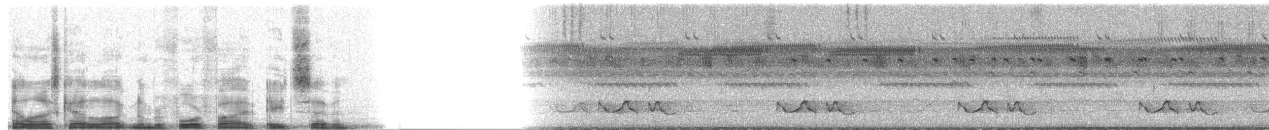 Donaldson Smith's Nightjar - ML4587
