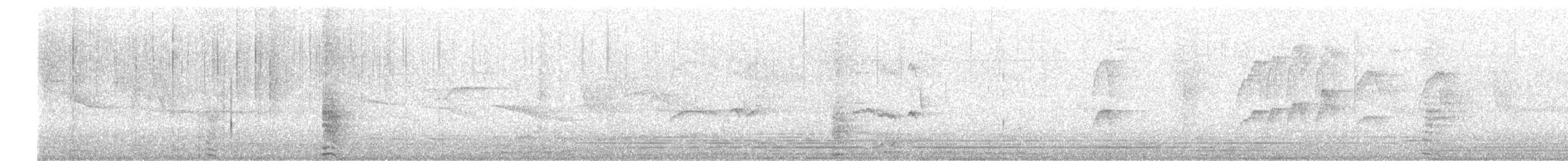 Western/Eastern Wood-Pewee - ML458702431