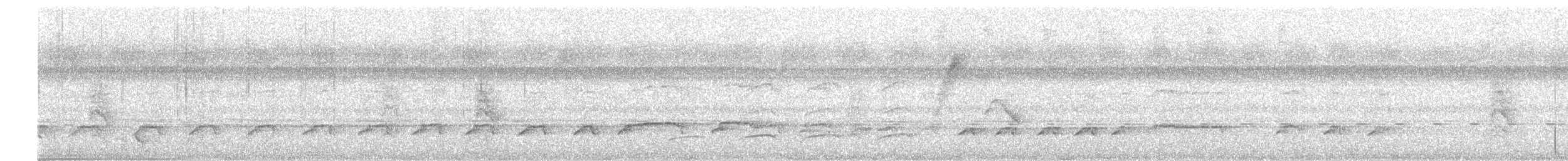 Buteo sp. - ML458704731