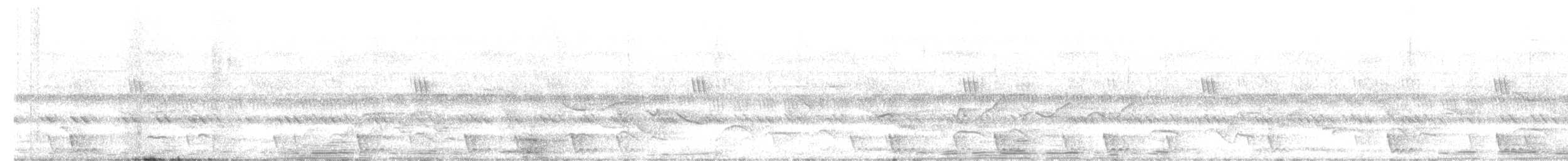 Large-tailed Nightjar - ML458708081
