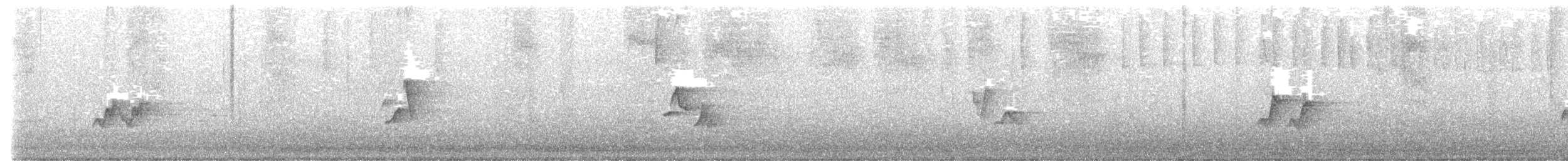 Red-eyed Vireo - ML458744041