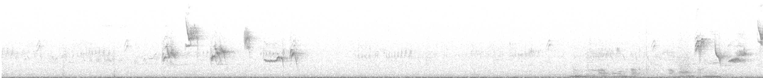 Papamoscas del Atlas - ML458763491