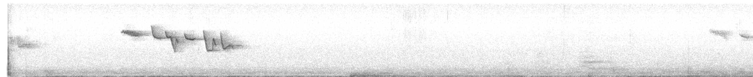 Amerika Tırmaşıkkuşu (pernigra) - ML458824421