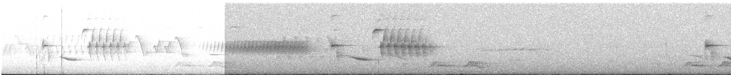 Carolinanachtschwalbe - ML458845641