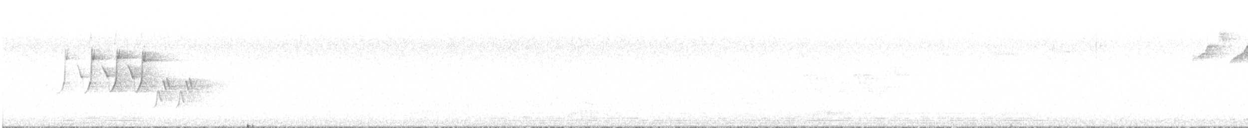svartbrystparula - ML458900481