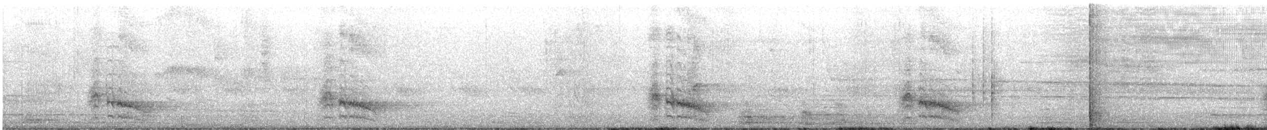 ekorngjøk (thermophila) - ML458957311