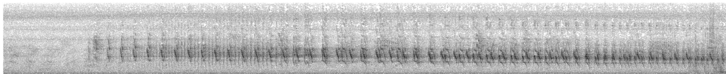 Grauschopf-Haubenläufeer - ML458988861