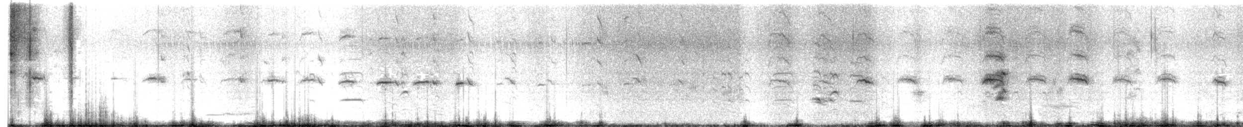 Faucon chicquera - ML459073261