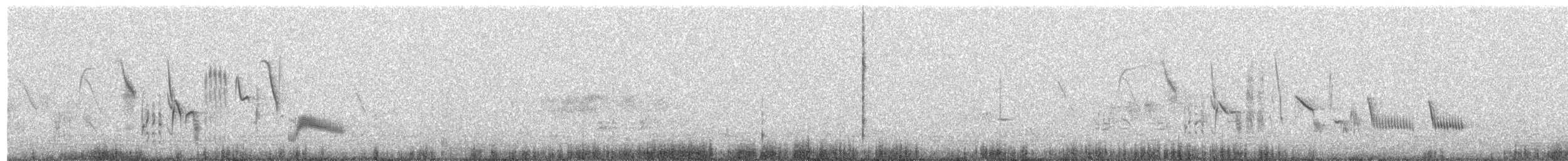 iranie bělohrdlá - ML459077081