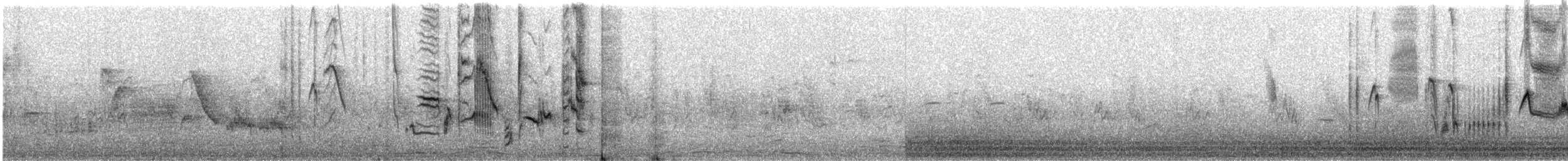 iranie bělohrdlá - ML459077091