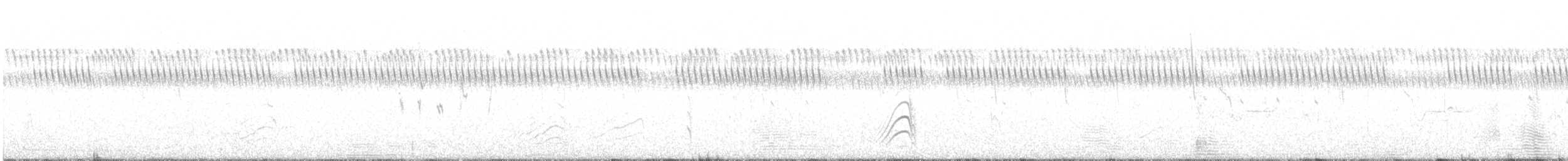 Merops sp. - ML459156171