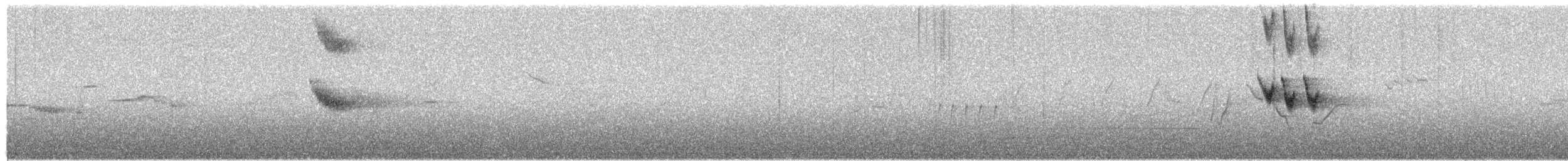 白斑紫嘯鶇 - ML459172651