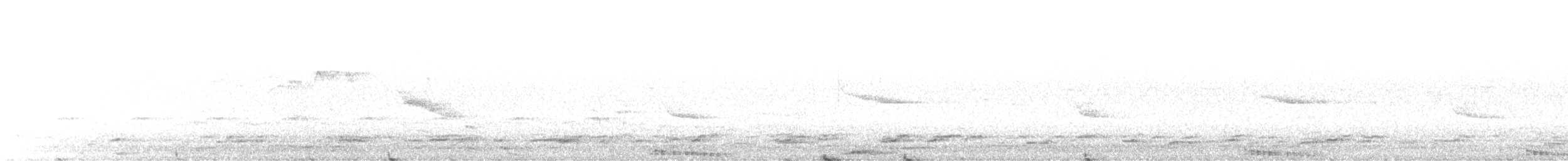 Ohrenscharbe - ML459209731