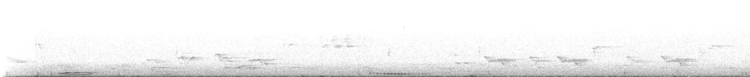 Ohrenscharbe - ML459209741