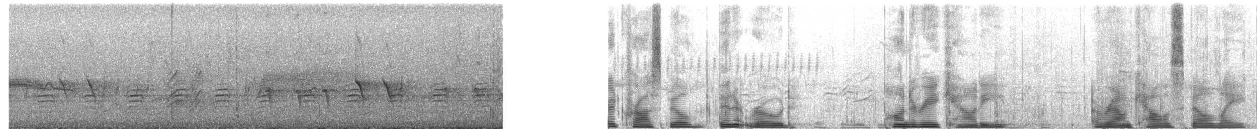 Fichtenkreuzschnabel (Typ 2) - ML459217701