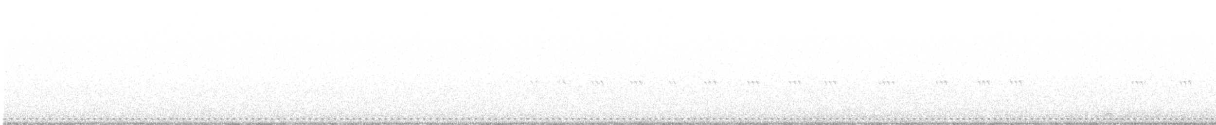 Texasnachtschwalbe - ML459241681