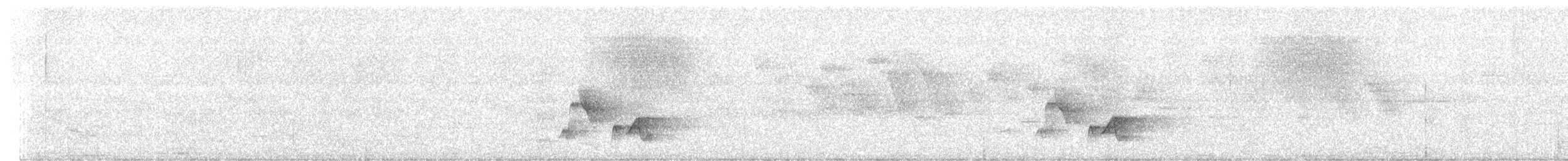 Troglodyte à poitrine grise - ML459270101