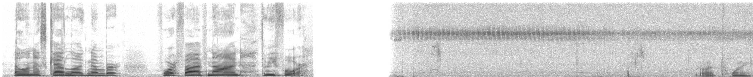 Engoulevent trifide - ML45934