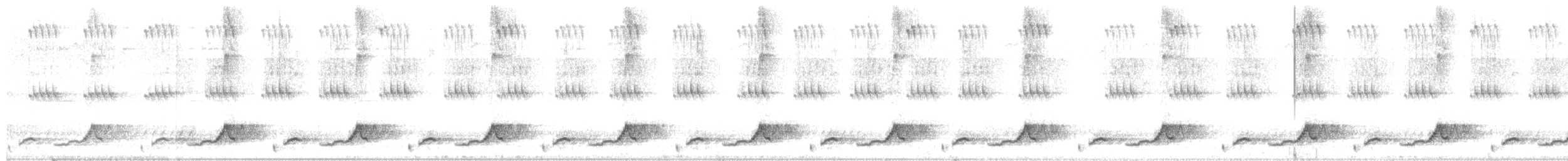 Schwarzkehl-Nachtschwalbe - ML459404281