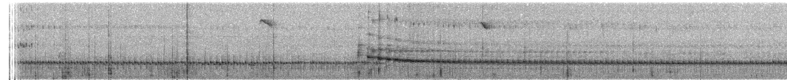 Polluela Coronirrufa - ML459477571